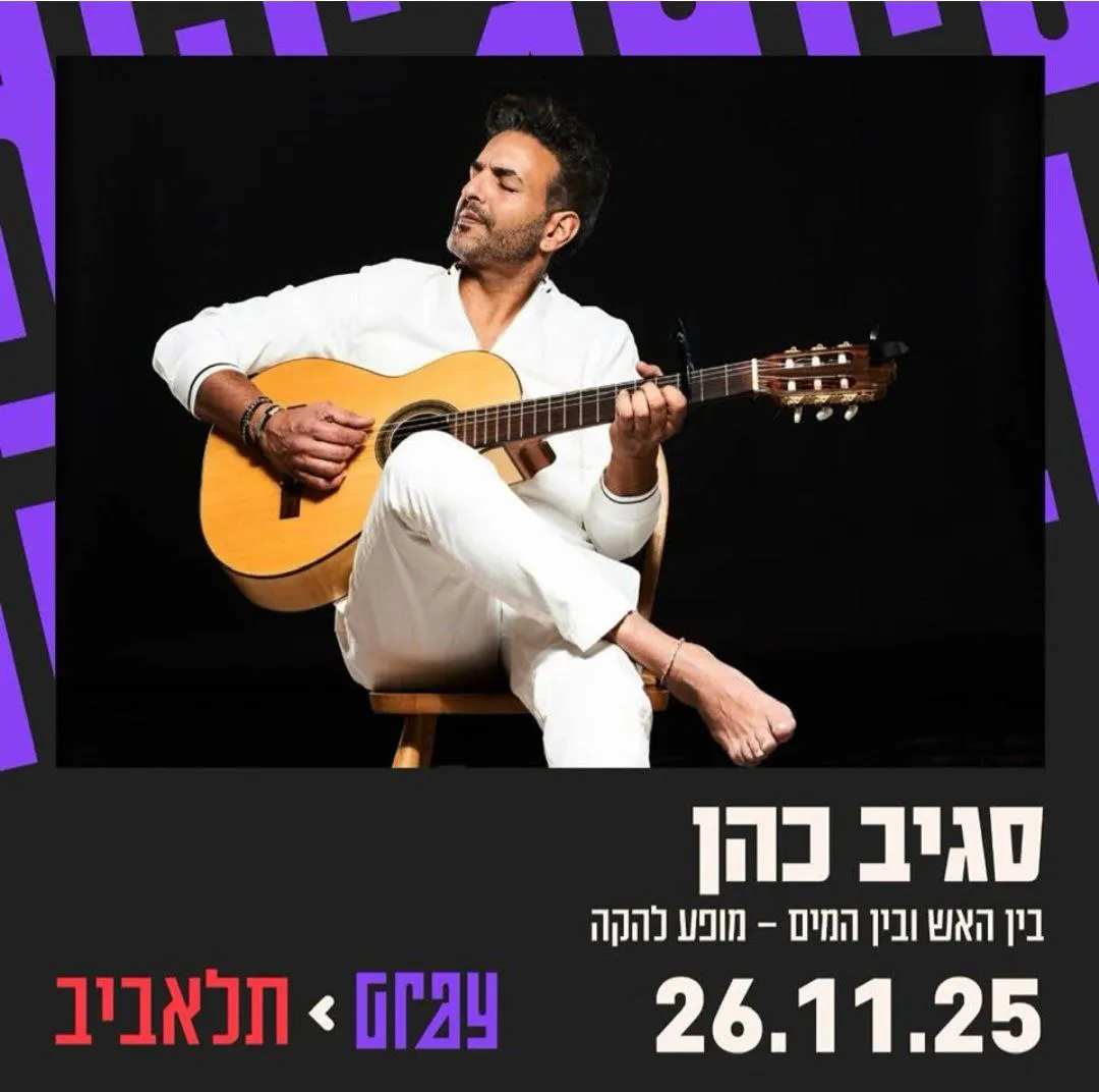 סגיב כהן - סגיב כהן בגריי